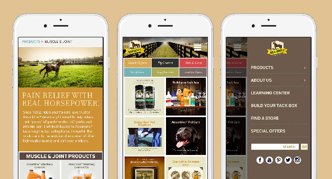 Consumer Website Design